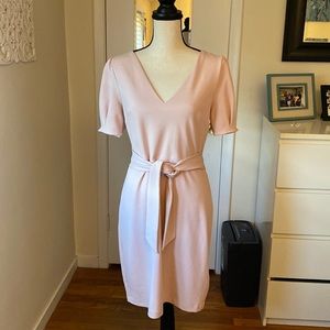 Express V-neck Tie Waist Sheath Dress